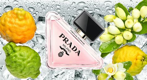 prada flower locations|prada virtual flower perfume.